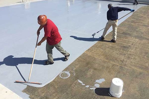 Professional Waterproofing Technician
